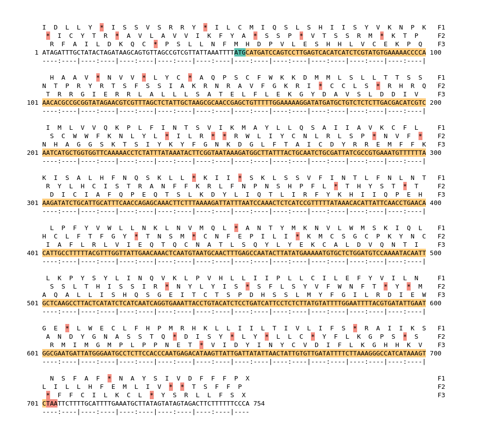 Image of isolate 2371 DNA sequence (yellow) for gene ACIN10555. Amino acids for each of the three frames is shown above the sequence. There is a start codon highlighted in green. There is a stop codon highlighted red. There is an additional stop codon.