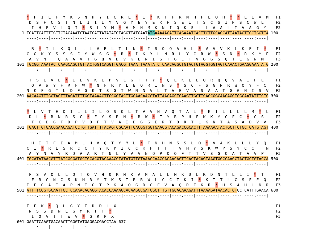 Image of isolate 2661 DNA sequence (yellow) for gene ACIN12090. Amino acids for each of the three frames is shown above the sequence. There is a start codon highlighted in green. There is not a stop codon highlighted red.