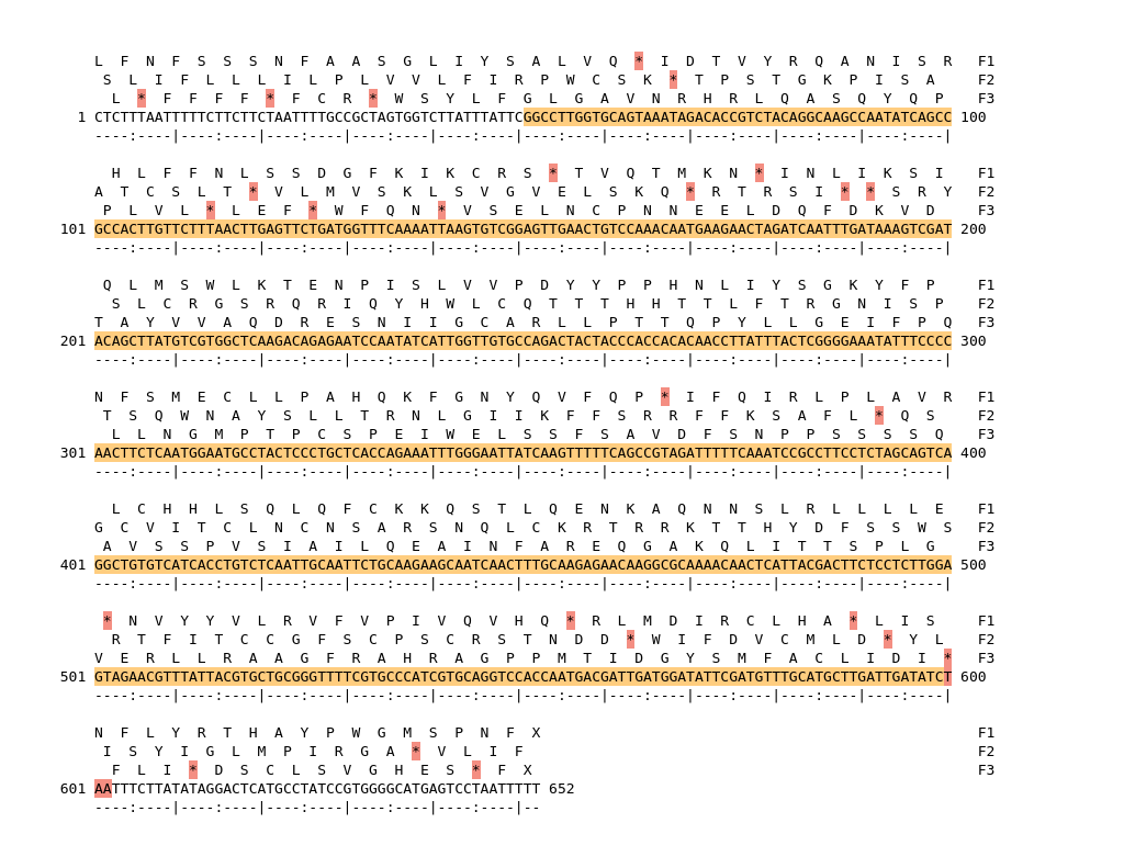 Image of isolate 2667 DNA sequence (yellow) for gene ACIN00715. Amino acids for each of the three frames is shown above the sequence. There is not a start codon highlighted in green. There is a stop codon highlighted red.