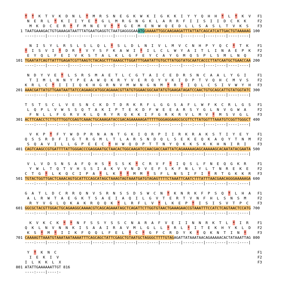 Image of isolate 2696 DNA sequence (yellow) for gene ACIN00725. Amino acids for each of the three frames is shown above the sequence. There is a start codon highlighted in green. There is not a stop codon highlighted red.