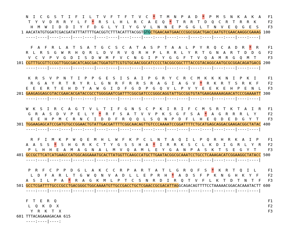 Image of isolate 50488 DNA sequence (yellow) for gene NEIS1072. Amino acids for each of the three frames is shown above the sequence. There is a start codon highlighted in green. There is not a stop codon highlighted red.