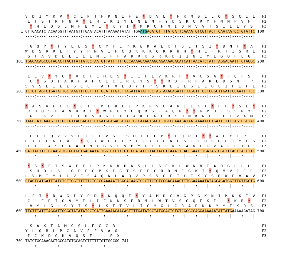 Image of isolate 54264 DNA sequence (yellow) for gene NEIS1927. Amino acids for each of the three frames is shown above the sequence. There is a start codon highlighted in green. There is not a stop codon highlighted red.