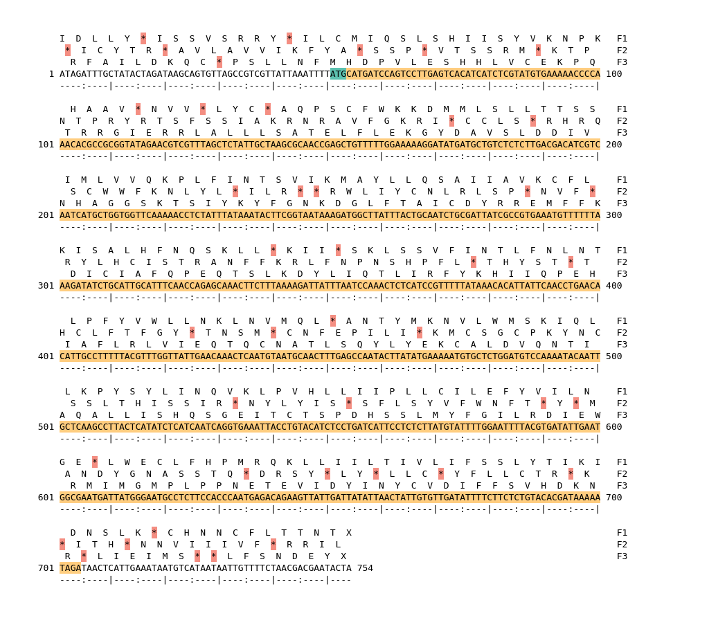 Image of isolate 7439 DNA sequence (yellow) for gene ACIN10555. Amino acids for each of the three frames is shown above the sequence. There is a start codon highlighted in green. There is not a stop codon highlighted red.