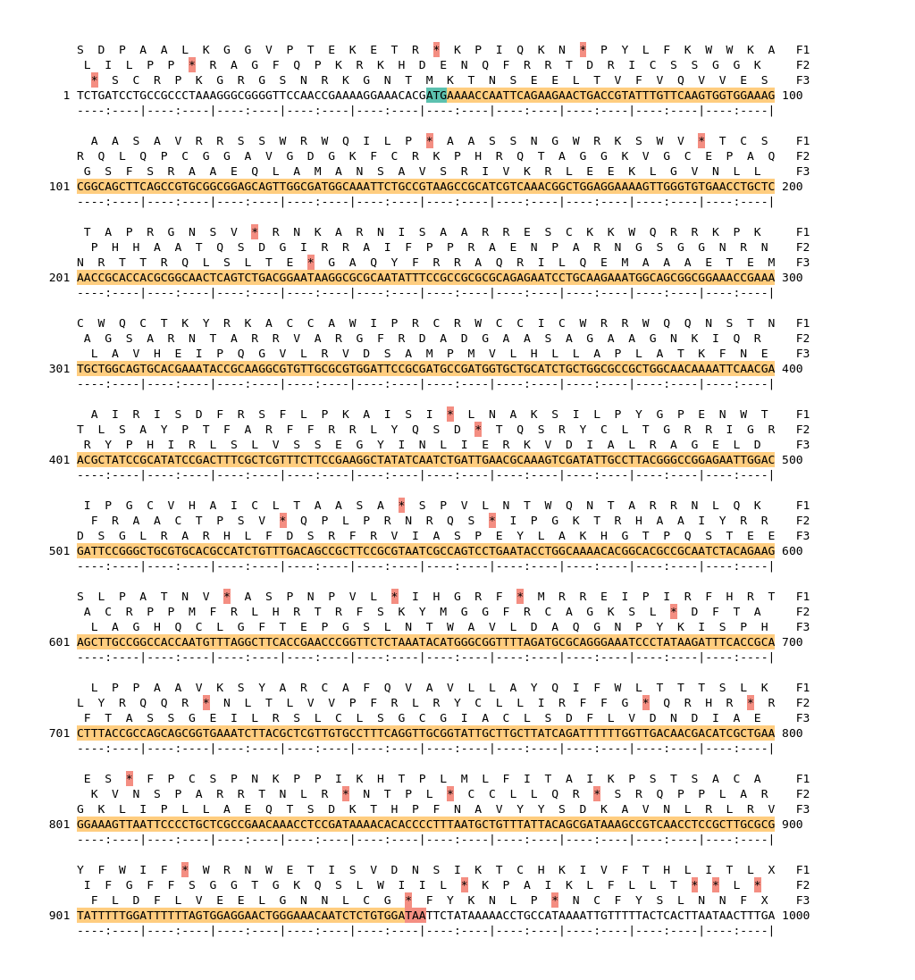 Image of isolate 50102 DNA sequence (yellow) for gene NEIS0362. Amino acids for each of the three frames is shown above the sequence. There is a start codon highlighted in green. There is a stop codon highlighted red. There is an internal stop codon.