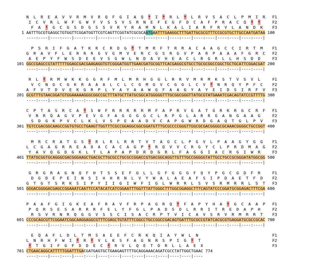 Image of isolate 50481 DNA sequence (yellow) for gene NEIS2934. Amino acids for each of the three frames is shown above the sequence. There is a start codon highlighted in green. There is not a stop codon highlighted red. There is an additional stop codon