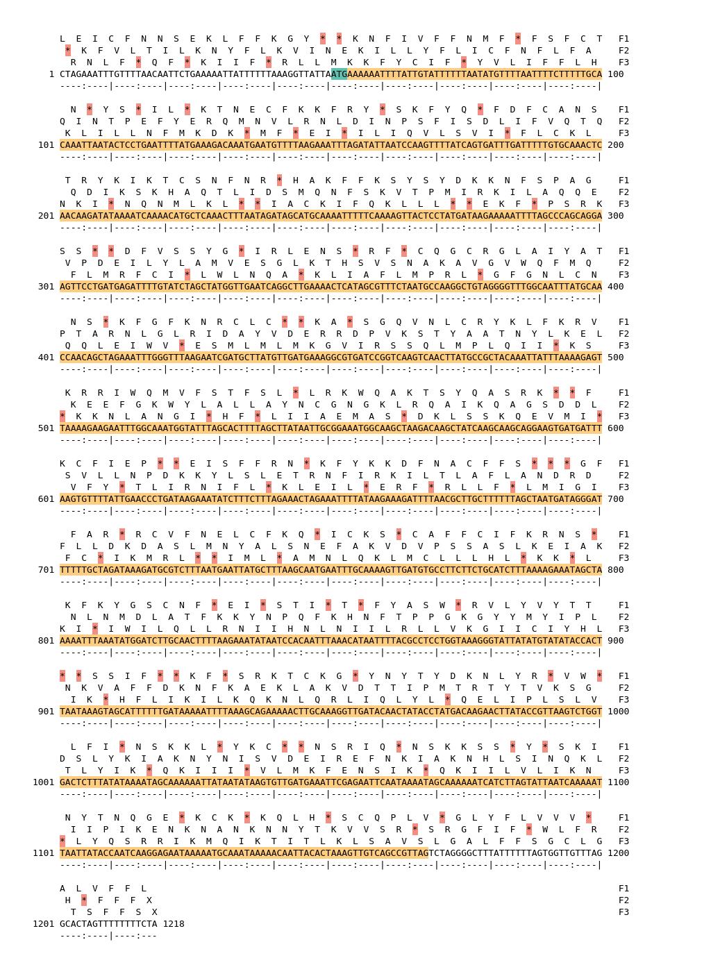 Image of isolate 80461 DNA sequence (yellow) for gene CAMP0602. Amino acids for each of the three frames is shown above the sequence. There is a start codon highlighted in green. There is not a stop codon highlighted red. There are internal stop codons.