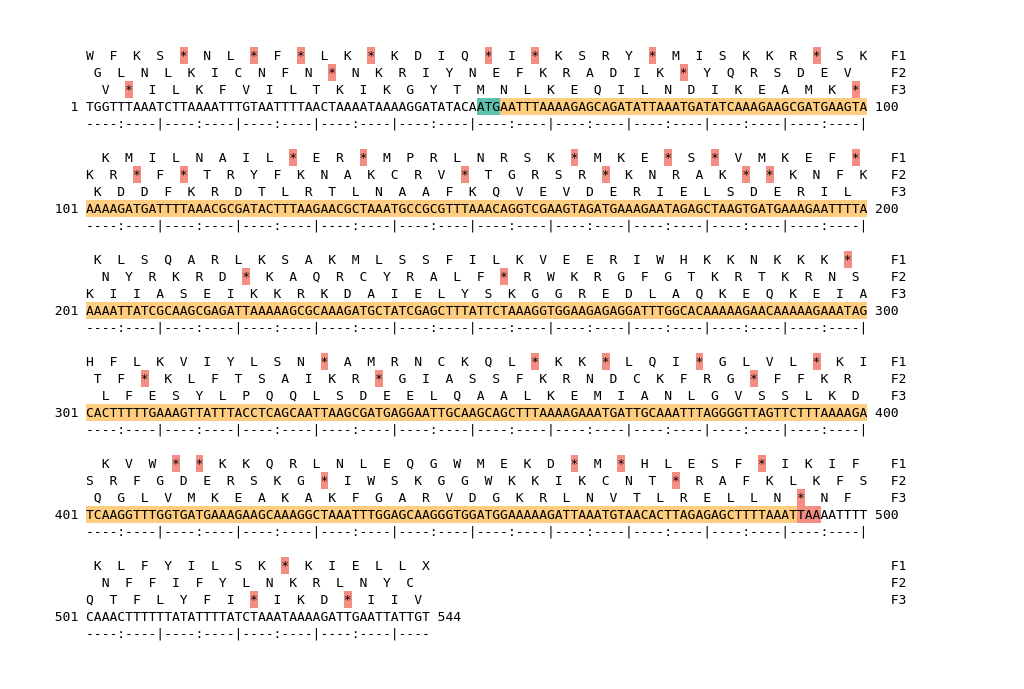 Image of isolate 80465 DNA sequence (yellow) for gene CAMP0531. Amino acids for each of the three frames is shown above the sequence. There is a start codon highlighted in green. There is a stop codon highlighted red. There is an internal stop codon.