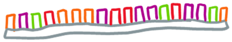 Cartoon drawing of mRNA sequence