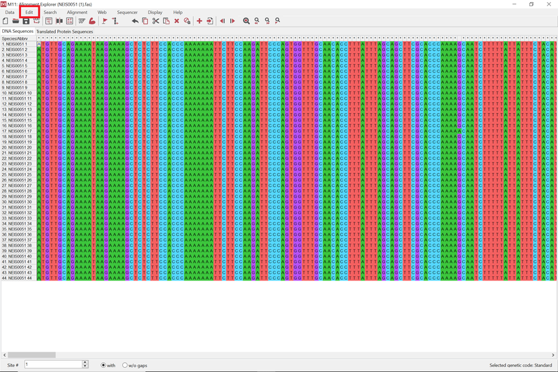 NEIS0051 alleles opened in MEGA with red box around Edit