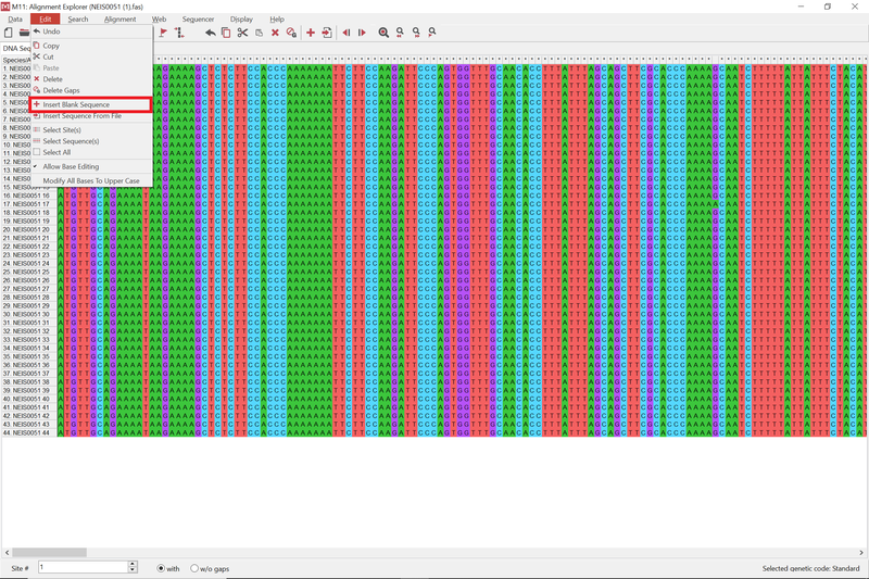 NEIS0051 alleles opened in MEGA with red box around insert blank sequence