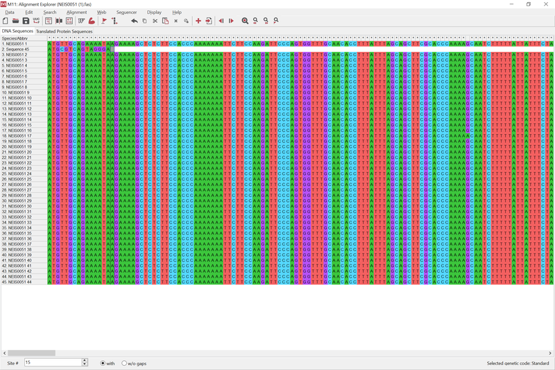 NEIS0051 alleles opened in MEGA with test sequence