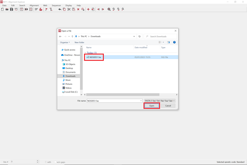 MEGA application open with file to open selected in file explorer