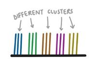 Illumina sequencing - DNA clusters