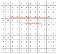 Genomes wordsearch